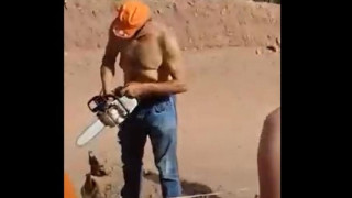 Ράλι Ακρόπολις: Νέο απίστευτο περιστατικό - Έκοψαν ελιά για να βλέπουν! (vid)