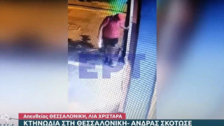 Θεσσαλονίκη: Ταυτοποιήθηκε ο άνδρας που σκότωσε γατάκι με το πόδι του