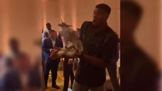 Ο Αντετοκούνμπο... έπαθε Μανωλά, τα «χρειάστηκε» για ένα... γεράκι!