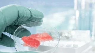 ΗΠΑ: Κυκλοφορεί το πρώτο «εργαστηριακό» κρέας κοτόπουλο- Δοκιμάστηκε σε διεθνές συνέδριο