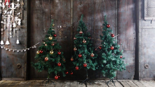 Μυρίζει Χριστούγεννα! Ξεκινά η διανομή ελάτων σε όλη την Ελλάδα από τον Ταξιάρχη Χαλκιδικής