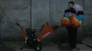 Έσκισε 10.000 λίρες γιατί ο Μπέκαμ δεν αποσύρθηκε από πρεσβευτής του Κατάρ