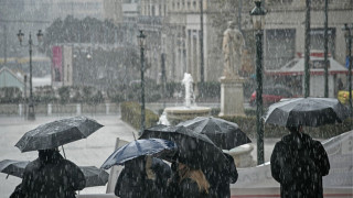 Κακοκαιρία «Μπάρμπαρα»: Πτώσεις δέντρων στη Θεσσαλονίκη