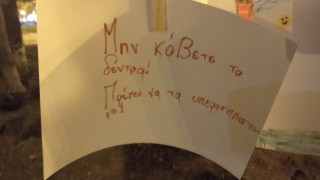 Θεσσαλονίκη: Διαμαρτυρία για την κοπή δένδρων στην Αριστοτέλους