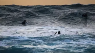 Δυνητικά θανατηφόρα πάθηση «απειλεί» κολυμβητές