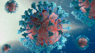 Kraken: Τα συμπτώματα της υπερμεταδοτικής υποπαραλλαγής του κοροναϊού