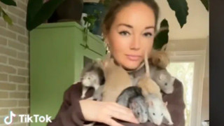 Δασκάλα ζει μαζί με 7 αρουραίους - «Δεν είναι αηδιαστικοί, πλένονται»