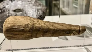 Βρετανία: Οι αρχαιολόγοι πίστευαν ότι είναι εργαλείο και αποδείχθηκε... δονητής