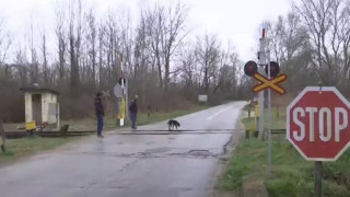 Σέρρες: Σεκιούριτι στη θέση... σταθμάρχη - Ελλείψει άλλων μέτρων, φυλάνε σιδηροδρομική διάβαση
