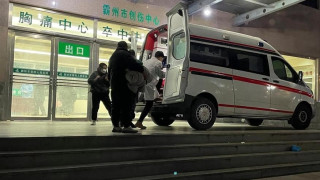 «Βόμβα» για τον κορωνοϊό: «Δεν υπάρχουν αποδείξεις ότι προέρχεται από τα ζώα»