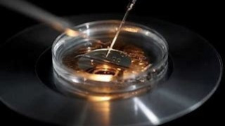 Δικαστήριο απαγόρευσε σε πατέρα... 550+ παιδιών να σταματήσει να δωρίζει το σπέρμα του!