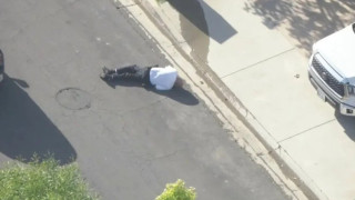 HΠΑ: Μέλισσες επιτέθηκαν σε αστυνομικό!