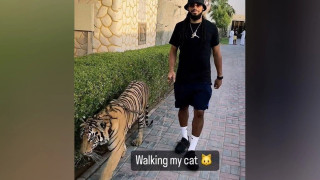 Μάντσεστερ Σίτι: Πρώην ποδοσφαιριστής της βγήκε βόλτα με την... τίγρη του