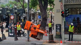 Viral φωτογραφία από τη Θεσσαλονίκη: Η στιγμή που κόβουν δέντρο στο κέντρο της πόλης
