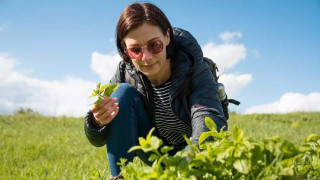Nόσος Αλτσχάιμερ: Το μυρωδικό που δυναμώνει μυαλό και μνήμη