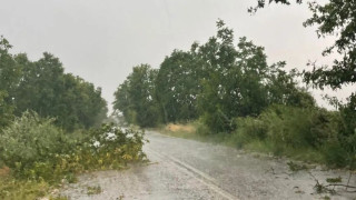 Κοζάνη: Θυελλώδεις άνεμοι ξεριζώνουν δέντρα και... κεραμίδια