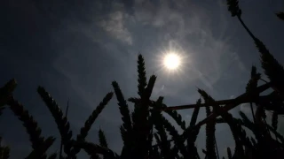 Καύσωνας Κλέων: Καμίνι όλη η χώρα – Η πιο ζεστή μέρα, κίνδυνος για πυρκαγιές