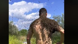 Βίντεο που κόβει την ανάσα: Mελισσοκόμος καλύπτεται από χιλιάδες μέλισσες και δεν τον τσιμπάει καμία