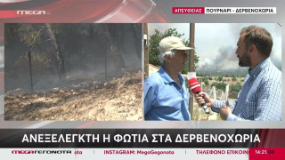 Κραυγή αγωνίας στα Δερβενοχώρια: «Πού είναι τα μέσα πυρόσβεσης;» (vid)