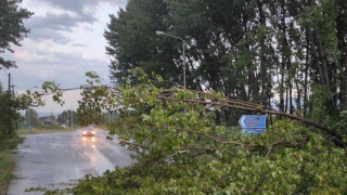 Χαλκιδική: Πώς το μπουρίνι «σήκωσε» beach bar