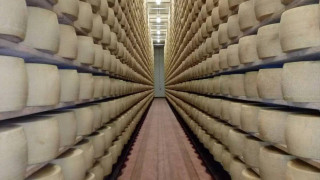 Ιταλία: Φρικτός θάνατος τυροκόμου - Καταπλακώθηκε από 25.000 κεφάλια τυριού