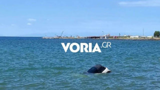 Χαλκιδική: Όχημα βρέθηκε στη θάλασσα στα Ν. Μουδανιά