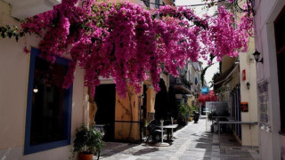 Ναύπλιο: Ο δήμαρχος πετούσε σακούλες με περιττώματα στο σπίτι συνυποψηφίου του