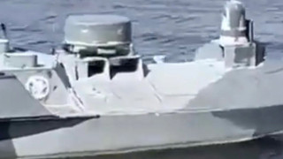 Το «θαλάσσιο μωρό» που σκορπά τον τρόμο στην Μαύρη Θάλασσα (Vid-Pics)