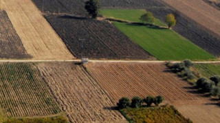 Πήγε στο χωράφι για σκάψιμο και βρήκε... 600 εκατομμύρια δολάρια