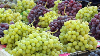 Αυτό το φρούτο προστατεύει όραση και αρθρώσεις και σας κρατά νέους