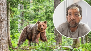 Βοσκός δέχθηκε άγρια επίθεση από αρκούδα: «Πήδηξε πάνω στο κεφάλι μου»