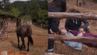 Σοβαρό ατύχημα διαγωνιζόμενης στη Φάρμα: Την χτύπησε άλογο