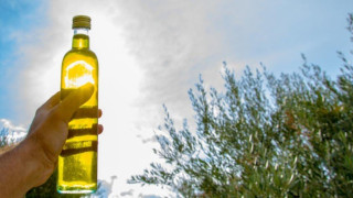 Ελαιόλαδο: Εκτίναξη πάνω από τα 9 ευρώ στις συναλλαγές της νέας σεζόν