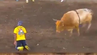 Αυτά παθαίνει κάποιος όταν τα βάζει με μαινόμενους ταύρους! (video) 