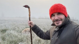 Ο Μπέκαμ με... γκλίτσα έβγαλε τα σκυλιά του βόλτα (pic)