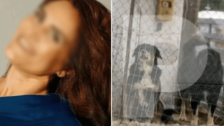«Τα σκυλιά δεν είχαν εκπαίδευση- Έμαθαν να κυνηγούν ό,τι βρίσκεται στο πεδίο τους»