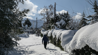 Έρχεται πολικό ψύχος και στην Ελλάδα - Η πρώτη εκτίμηση του Μαρουσάκη για τις πιθανές ημερομηνίες