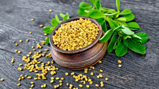 Το «μαγικό» βότανο που ρυθμίζει χοληστερόλη και σάκχαρο