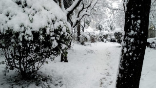 Δυτική Μακεδονία: Σε ποιες περιοχές και δρόμους χρειάζονται αντιολισθητικές αλυσίδες