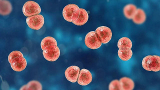 Σέρρες: Σε επιφυλακή για κρούσματα στρεπτόκοκου-Κλειστά τέσσερα σχολεία