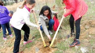 Περισσότερα από 10.000 δένδρα φυτεύτηκαν στο Σέιχ Σου