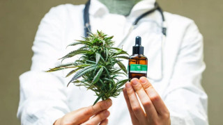 Φαρμακευτική κάνναβη: Άρχισε η συνταγογράφηση στη χώρα μας