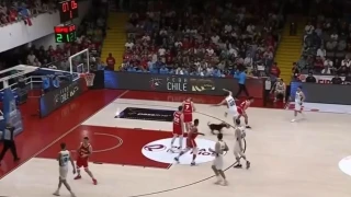 Φοβερό σκηνικό στο Χιλή-Αργεντινή: Σκύλος μπήκε στο γήπεδο με μπάλα στο στόμα