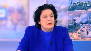 Τα... πήρε η Κανέλλη στο πάνελ: «Δεν έχεις τα guts»