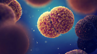 Μηνιγγίτιδα: Ποιοι χρειάζονται χημειοπροφύλαξη – Οι οδηγίες για τη διαχείριση επιδημικών εκρήξεων