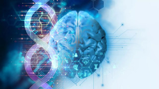 Νόσος Αλτσχάιμερ: Νέο γονιδιακό μονοπάτι δίνει ελπίδες για εύρεση θεραπείας