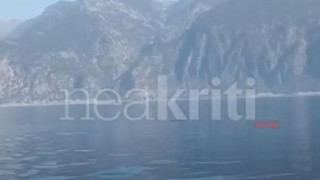 Κρήτη: ﻿Σε ποια περιοχή εθεάθη φάλαινα φυσητήρας