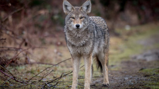 BBC: Το ντοκιμαντέρ που προκάλεσε έντονες αντιδράσεις - Ποιο ήταν το περιεχόμενό του  (vid)