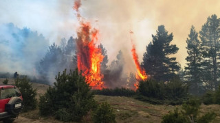 Φωτιά στο Λασίθι: Συνελήφθη ο υπαίτιος της μεγάλης πυρκαγιάς