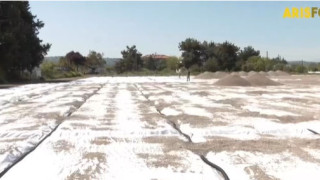 Άρης: Εργασίες επέκτασης στο Ν. Ρύσιο-Τελική ευθεία για δύο νέα γήπεδα